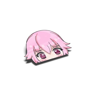 Laminated Future Diary  Peeker Sticker, UV Resistant, Water Proof