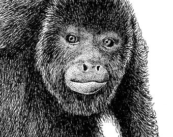 Fine Art Howler Monkey Print, Nature Wall Art, Scientific Illustration
