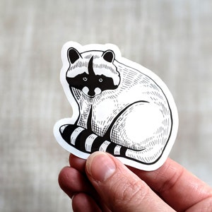 Raccoon Sticker / Waterproof Water Bottle Sticker / Vinly Laptop Sticker