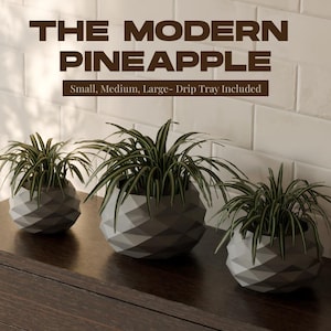 The Modern Pineapple- Indoor Planter with drip tray