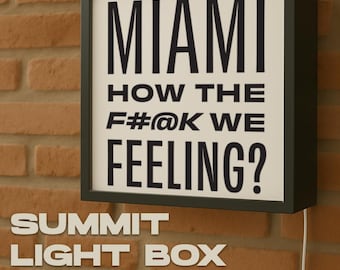 John Summit Light Box – Miami How the F#@k We Feeling? | LED Wall Decor for Music Lovers | Party Vibe Room Light |  Home Decor