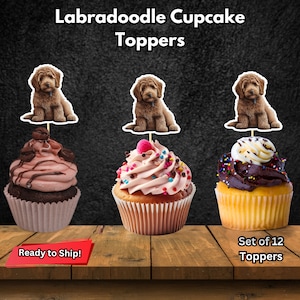 Topper Cupcake Labradoodle, Decorazione festa Labradoodle, Topper cupcake cane Doodle, Topper compleanno Labradoodle, Bomboniere Labradoodle