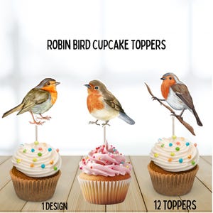 Robin Bird Cupcake toppers, bird birthday party decor, kids bird theme, bird watching class, bird watching party, bird lover