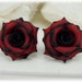 Black Tip Red Rose Earrings Stud or Clip On | Gothic Earrings | Gothic Rose Jewelry | Flower Earrings | Titanium Hypoallergenic
