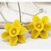 see more listings in the Daffodil • Dahlia • Mums section