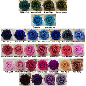 May include: A chart of 48 different coloured roses, each with a name describing its colour. The colours include red, orange, yellow, green, blue, pink, purple, brown, grey, black, silver, gold, and bronze.