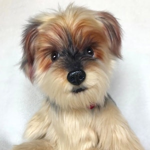 Realistic Animal Doll, Pet Replica, Pet Stuffed Animal, Lifelike Stuffed Animal, Personalized Stuffed, Stuffed Dog, Cat Replica, Dog Replica