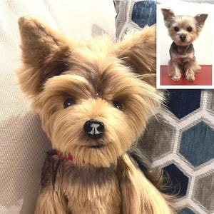 Op de afbeelding: Een pluche Yorkshire Terrier hond met bruin en bruin haar, een rode halsband en een zwarte neus. De hond zit op een wit oppervlak, met een kleiner beeld van een echte Yorkshire Terrier in de rechterbovenhoek.