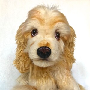 Realistic Animal Doll, Pet Replica, Pet Stuffed Animal, Lifelike Stuffed Animal, Personalized Stuffed, Stuffed Dog, Cat Replica, Dog Replica image 2