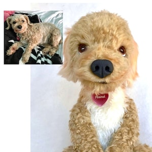 CUSTOM Cockapoo Plush, Cockapoo Replica, Cockapoo Stuffed, Plush Cockapoo, Cockapoo Gift, Cockapoo Sculpture, Cockapoo Mom, Cockapoo Dad