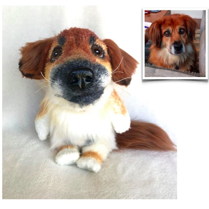 May include: A plush toy dog with brown and white fur, sitting on a white surface. The toy has a realistic face with brown eyes and a black nose. The toy is looking up at the camera. A photo of a real dog with brown fur is in the background.