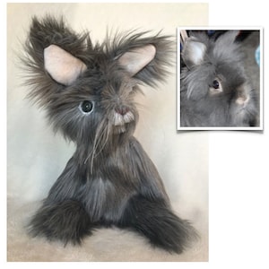 Custom Stuffed Animal, Stuffed Animal Pet, Pet Replica, Pet Portrait, Loss of Pet, Pet Loss Gifts, Custom Stuffed Pet Memorial, Pet Mom image 2
