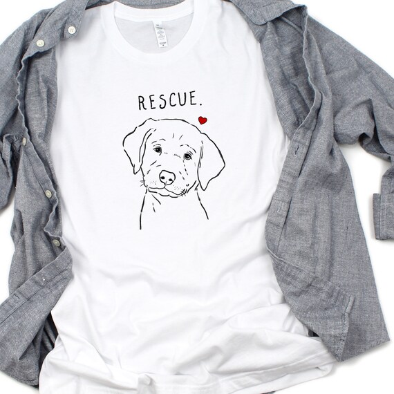 lab rescue dogs near me