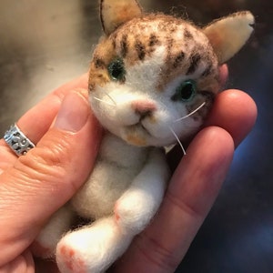 Op de afbeelding: Een kleine, witte, bruine en zwarte vilten kat met groene ogen. De kat zit met zijn poten ingetrokken.
