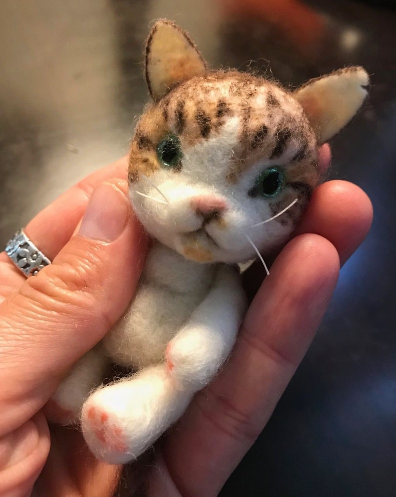 Op de afbeelding: Een kleine, witte, bruine en zwarte vilten kat met groene ogen. De kat zit met zijn poten ingetrokken.