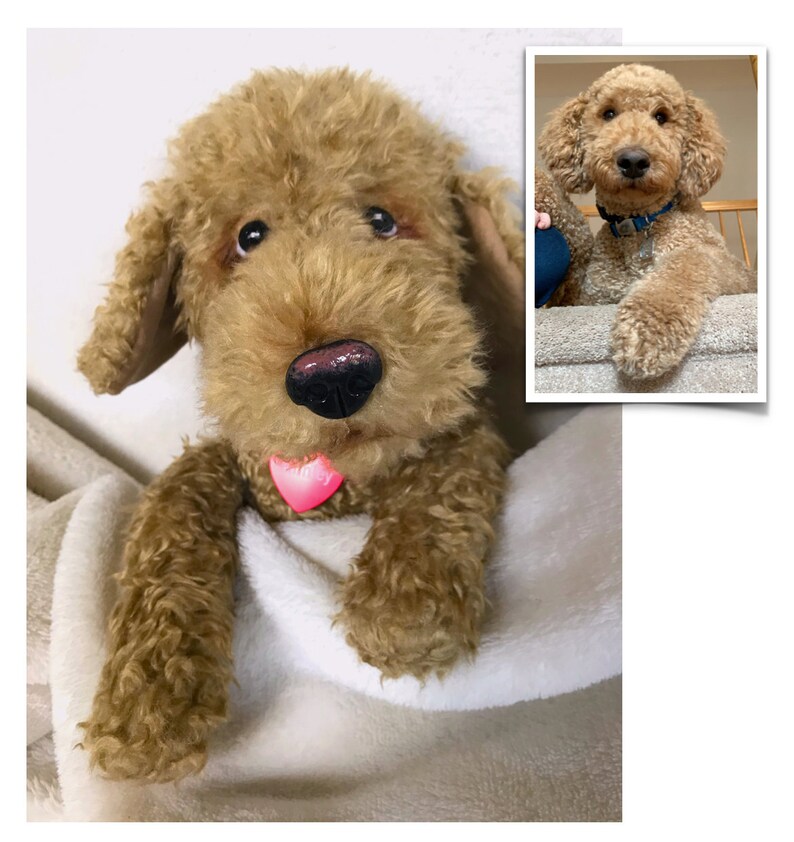 Custom Stuffed Animal, Stuffed Animal Pet, Pet Replica, Pet Portrait, Loss of Pet, Pet Loss Gifts, Custom Stuffed Pet Memorial, Pet Mom image 8