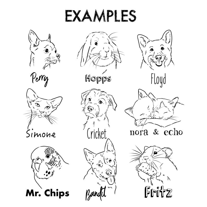 Puede incluir: Dibujos en blanco y negro de varias mascotas, incluyendo un perro, un gato, un conejo, un p&aacute;jaro, un h&aacute;mster y un par de gatos. Cada dibujo est&aacute; etiquetado con el nombre de la mascota, como Perry, Hopps, Floyd, Simone, Cricket, Nora & Echo, Mr. Chips, Bandit y Fritz.
