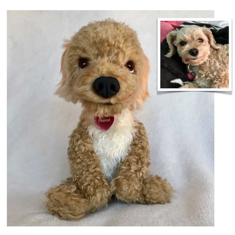May include: A plush toy dog with brown fur, a white chest, and a black nose. The toy dog is wearing a pink heart-shaped tag that says "Peanut".