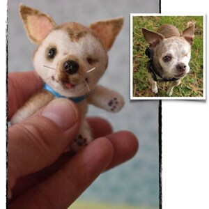 Op de afbeelding: Een klein, bruin en wit vilten chihuahua-speelgoed met een blauw lint. Het speelgoed wordt in de hand van een persoon gehouden.