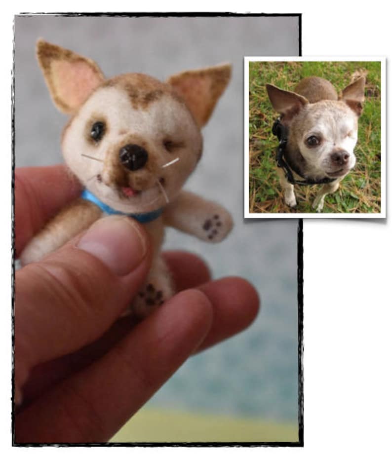 Op de afbeelding: Een klein, bruin en wit vilten chihuahua-speelgoed met een blauw lint. Het speelgoed wordt in de hand van een persoon gehouden.