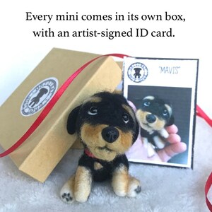 Op de afbeelding: Een klein, zwart en bruin vilt hondenfiguurtje met een rode halsband. De hond zit in een bruine doos met een rood lint. De doos heeft een label met de tekst "MAVIS" erop.