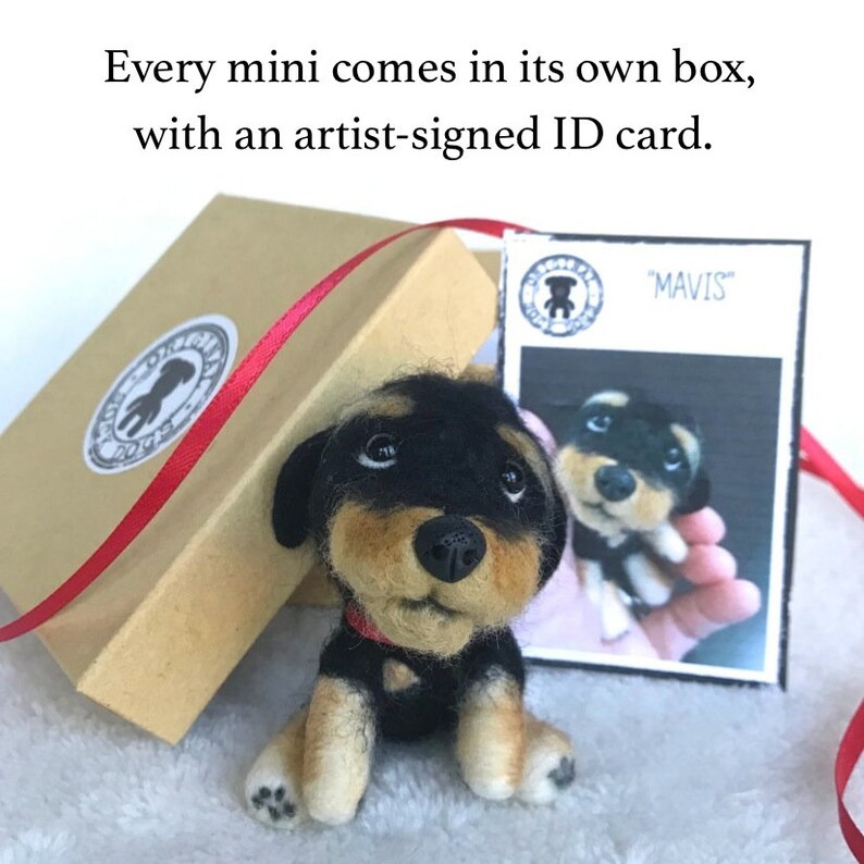 Op de afbeelding: Een klein, zwart en bruin vilt hondenfiguurtje met een rode halsband. De hond zit in een bruine doos met een rood lint. De doos heeft een label met de tekst "MAVIS" erop.