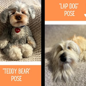 Custom Stuffed Animal, Stuffed Animal Pet, Pet Replica, Pet Portrait, Loss of Pet, Pet Loss Gifts, Custom Stuffed Pet Memorial, Pet Mom image 10