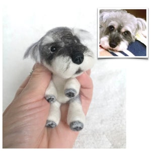 Op de afbeelding: Een klein, met de hand geviltd miniatuur schnauzer speelgoed. Het speelgoed is grijs en wit met zwarte ogen en een zwarte neus. Het zit met zijn poten in de lucht.