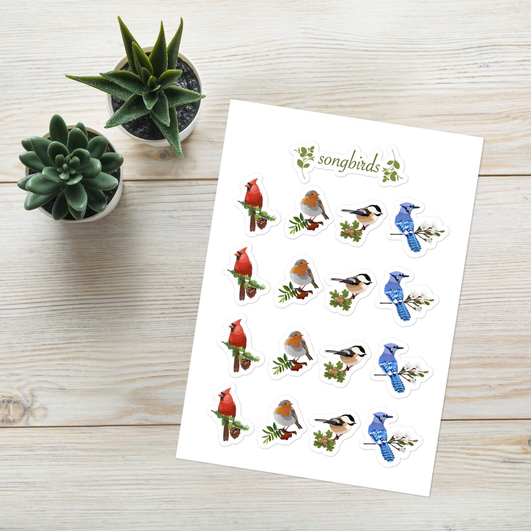 Songbird Sticker Sheet, Robin Sticker, Bluejay Sticker, Chickadee ...