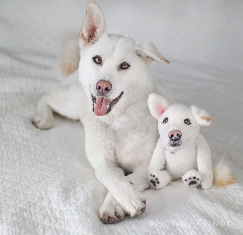 Custom Stuffed Animal, Stuffed Animal Pet, Pet Replica, Pet Portrait, Loss of Pet, Pet Loss Gifts, Custom Stuffed Pet Memorial, Pet Mom image 1