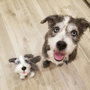 Custom Stuffed Animal, Stuffed Animal Pet, Pet Replica, Pet Portrait, Loss of Pet, Pet Loss Gifts, Custom Stuffed Pet Memorial, Pet Mom image 7