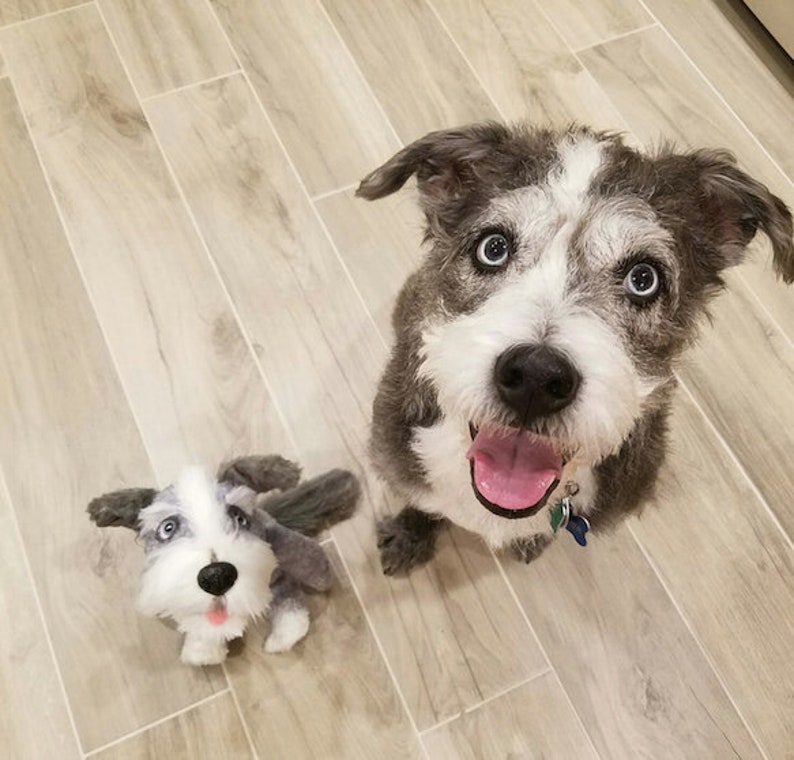 Custom Stuffed Animal, Stuffed Animal Pet, Pet Replica, Pet Portrait, Loss of Pet, Pet Loss Gifts, Custom Stuffed Pet Memorial, Pet Mom image 7