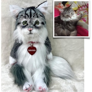Könnte beinhalten: Ein graues und weißes Plüschkatze mit grünen Augen, die mit dem Schwanz hinter sich sitzt. Die Katze trägt ein rotes herzförmiges Schild mit dem Namen "Gabrielle" darauf.