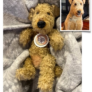 CUSTOM Airedale Replica, Airedale Terrier Gift, Airedale Memorial Gift, Plush Airedale, Airedale Lover Gift, Stuffed Airedale, Airedale Mom