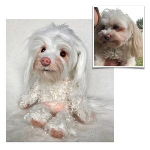 May include: A white fluffy dog plush toy with brown eyes and a pink nose. The plush toy is sitting on a white surface. A photo of a real white dog is shown in the background.