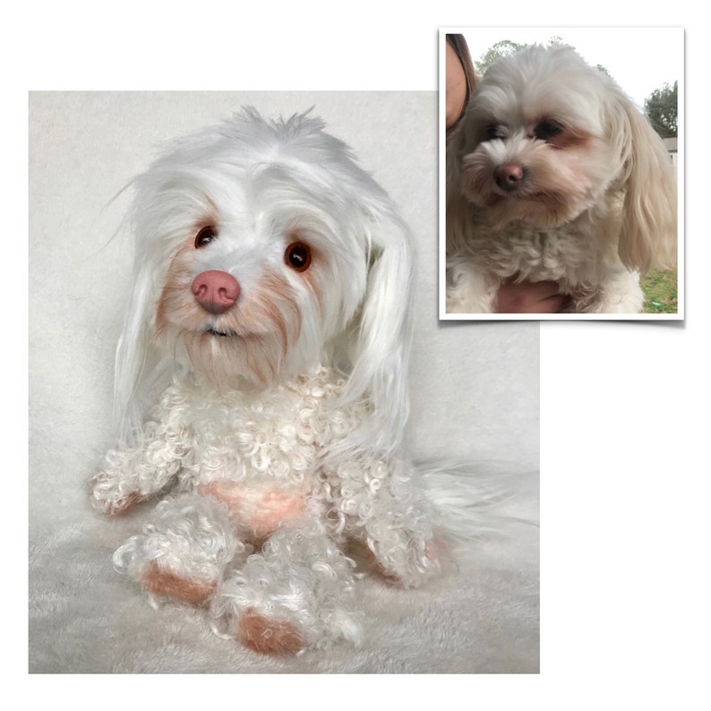 May include: A white fluffy dog plush toy with brown eyes and a pink nose. The plush toy is sitting on a white surface. A photo of a real white dog is shown in the background.
