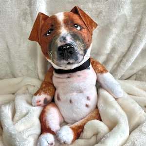 CUSTOM Pitbull Replica, Pitbull Dog Plushie, Pit Bull Stuffed Animal, Plush Pitbull, Bully Breed Stuffed Animal, Pittie Sculpture