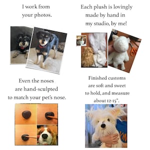 Custom Stuffed Animal, Stuffed Animal Pet, Pet Replica, Pet Portrait, Loss of Pet, Pet Loss Gifts, Custom Stuffed Pet Memorial, Pet Mom image 11