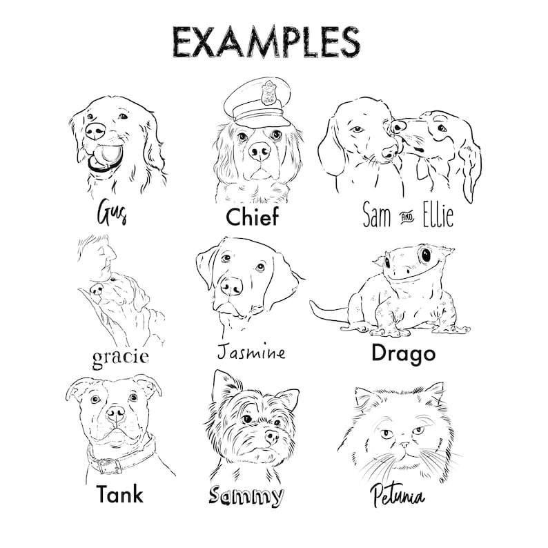 Puede incluir: Dibujos en blanco y negro de nueve mascotas diferentes, incluyendo perros, un gato y un lagarto. Cada mascota tiene un nombre escrito debajo, como Gus, Chief, Sam y Ellie, Gracie, Jasmine, Drago, Tank, Sammy y Petunia.