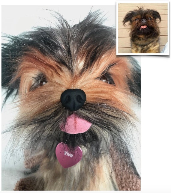 Brussels griffon stuffed animal hot sale
