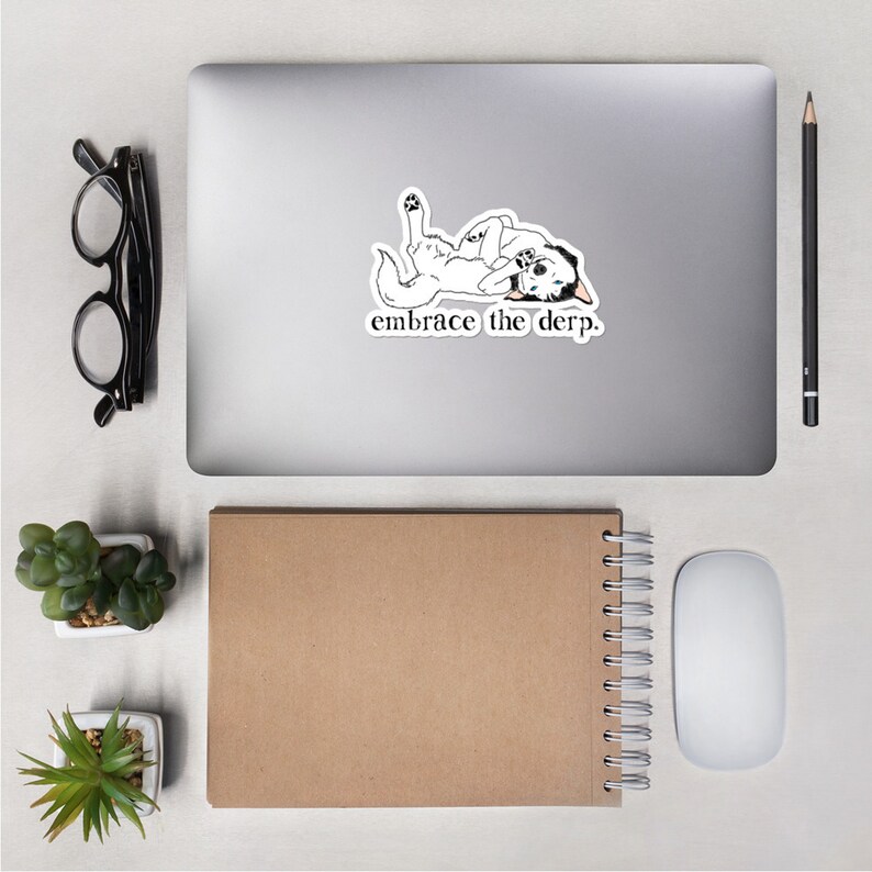 May include: A white and black husky dog with blue eyes is lying on its back with its paws in the air. The dog is on a white laptop with the text "embrace the derp." printed below it.