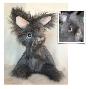 May include: A gray plush toy rabbit with long fur and large ears. The rabbit has a white nose and whiskers, and one blue eye is visible.