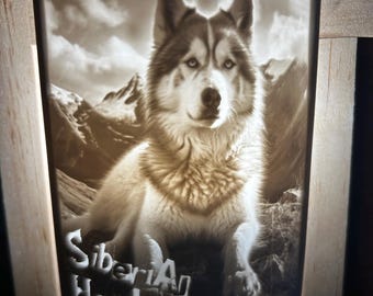 Lámpara de noche litofanía 3D personalizada y única con forma de perro husky siberiano