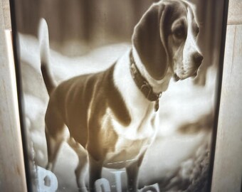 Lámpara de noche litofanía 3D personalizada y única del perro Beagle