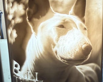 Luz nocturna de litofanía 3D única de Bull Terrier personalizada