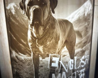 Lámpara de noche litofanía 3D personalizada y única con forma de perro mastín inglés