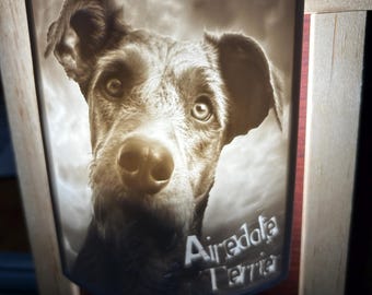 Lámpara de noche litofanía 3D personalizada y única con forma de perro terrier Airedale