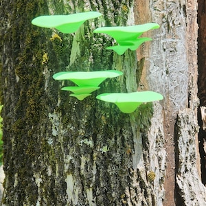 Glow in the Dark mushroom shelves 4 pack