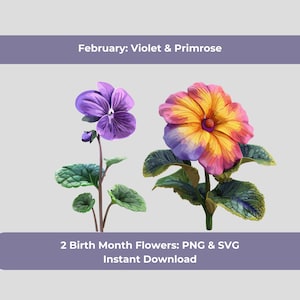 Geburtsmonat Wildblume PNG SVG - Februar: Veilchen & Primel - Familienstrauß-Bundle - Für Kinderzimmer, Tattoo oder Tasse - 3D Botanische Clipart