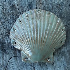 Handmade Scallop Shell Pine Needle Basket Base